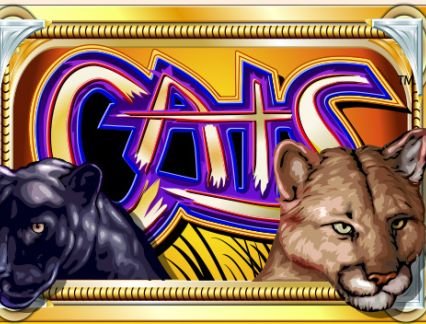 Slots Slots