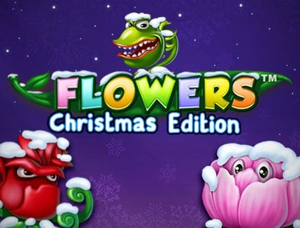 Flowers Christmas Edition Flowers Christmas Edition